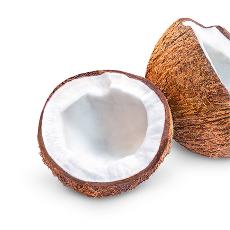 Noix de coco
